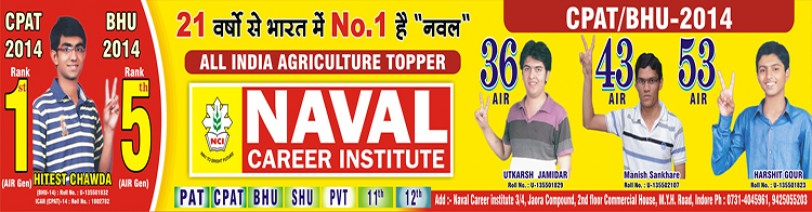 NAVAL Career Institute